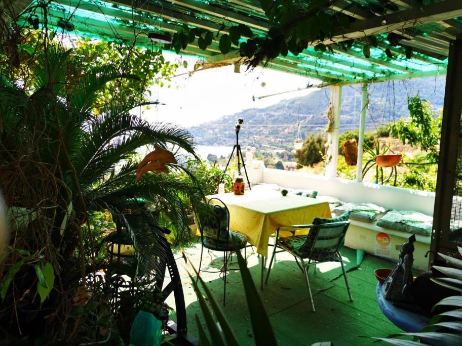 Romantic Casa Lorenzina Affittacamere 文蒂米利亚 外观 照片