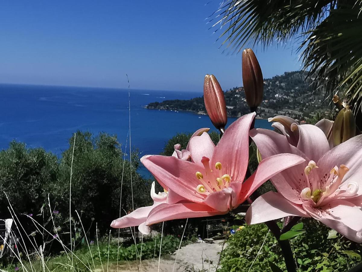 Romantic Casa Lorenzina Affittacamere 文蒂米利亚 外观 照片