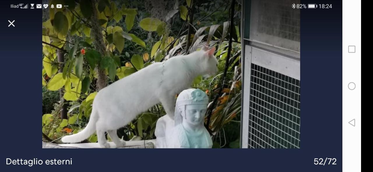Romantic Casa Lorenzina Affittacamere 文蒂米利亚 外观 照片